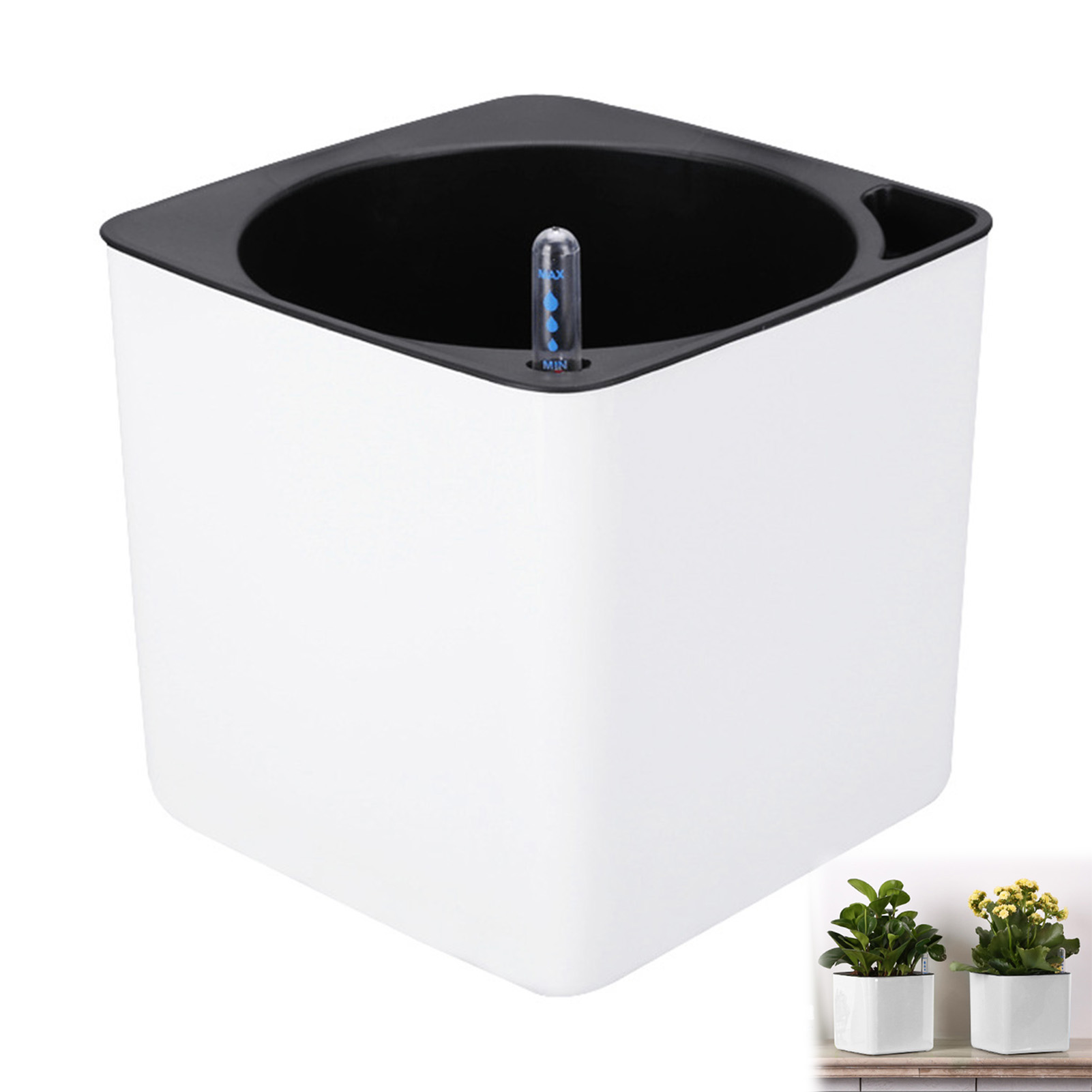 Piante da fiori con irrigazion - Self Watering Insert recensione e prezzo