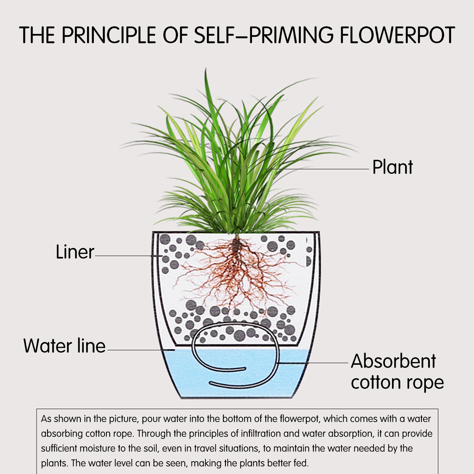 Piante da fiori con irrigazion - Self Watering Insert recensione e prezzo
