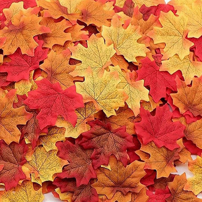 50/100/200 pezzi foglie d'acer - Sphagnum Moss Dry recensione e prezzo