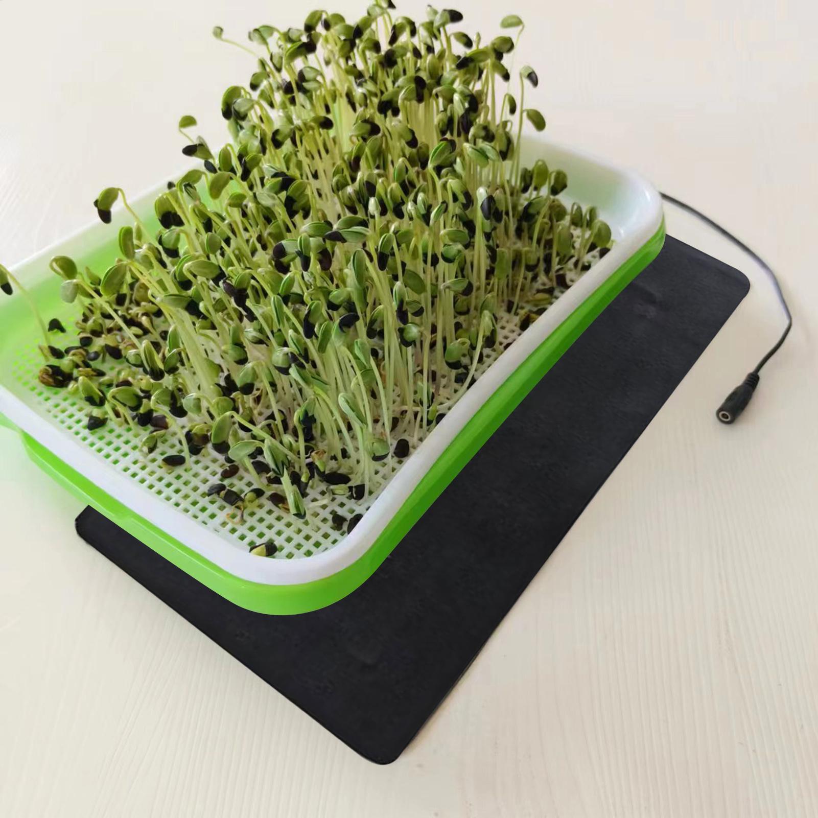 Tappetini riscaldanti USB da 8 - Heat Mat Seedling recensione e prezzo
