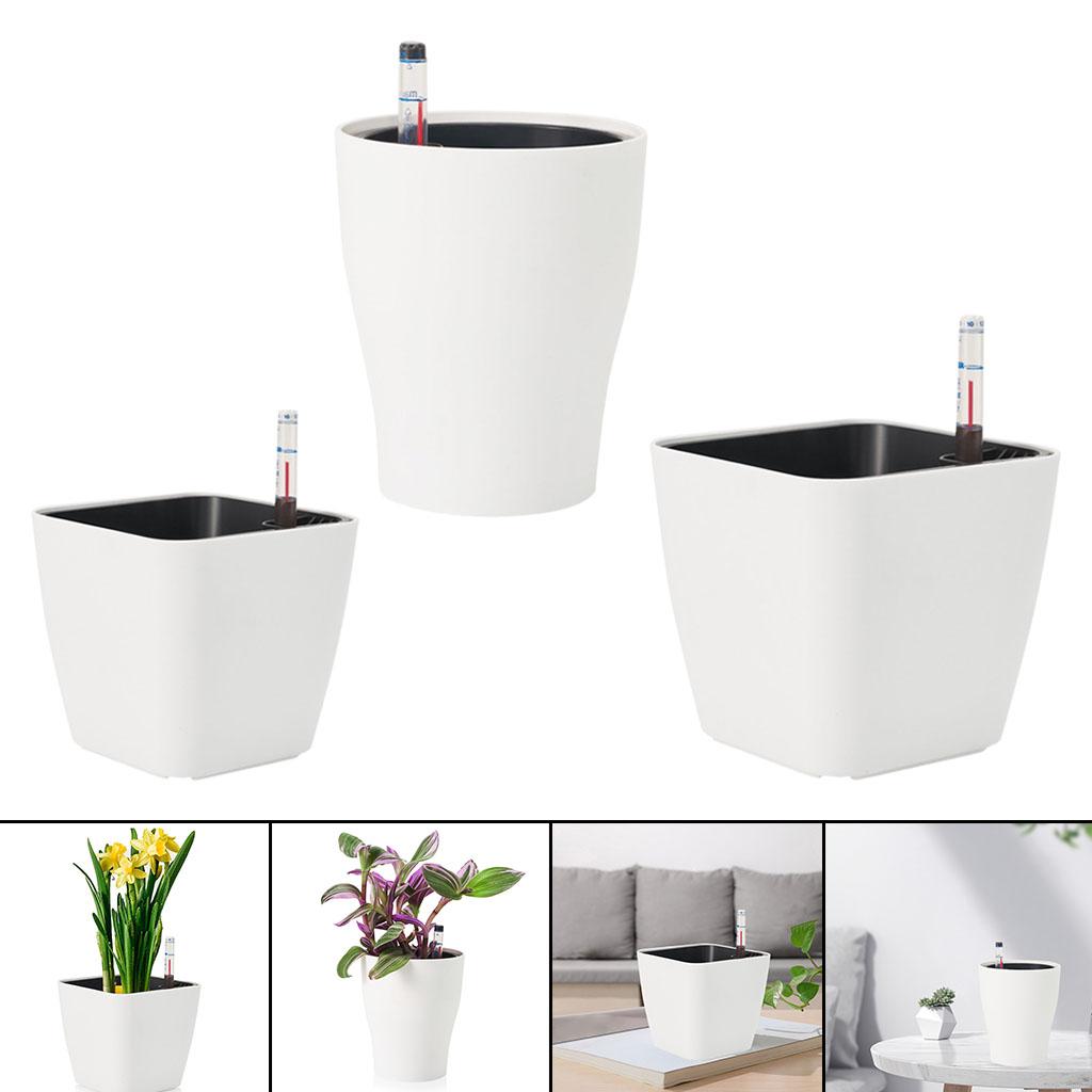 Vasi da fiori autoirriganti Va - Self Watering Insert recensione e prezzo