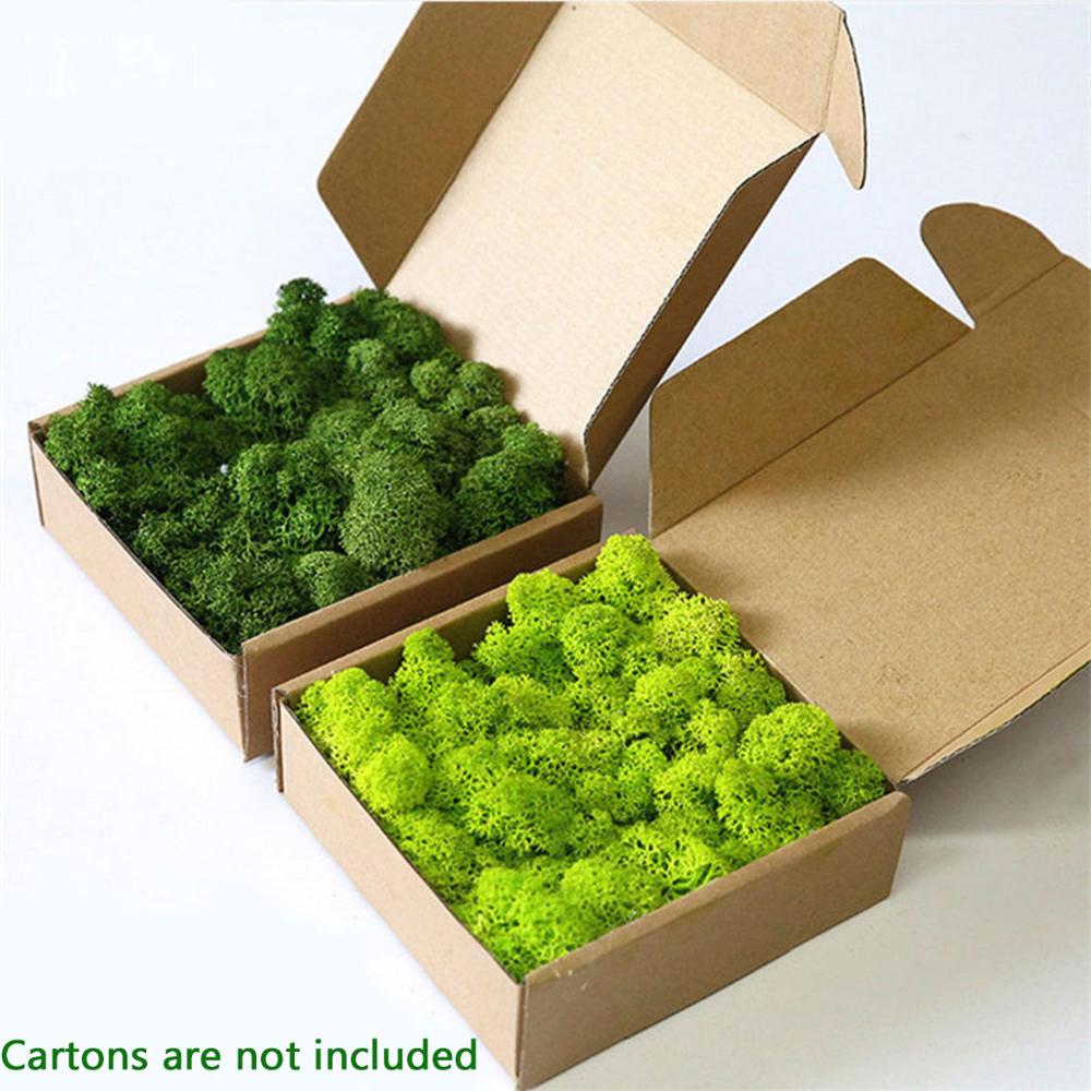 Pianta Artificiale La Vita Ete - Sphagnum Moss Dry recensione e prezzo