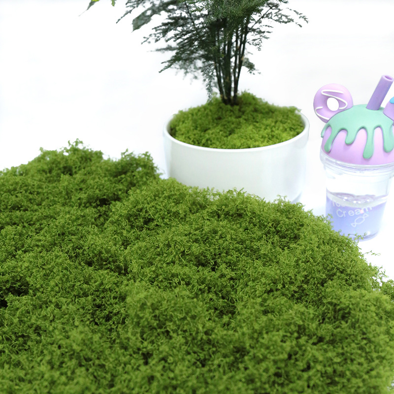Muschio Artificiale 50g per Fa - Sphagnum Moss Dry recensione e prezzo