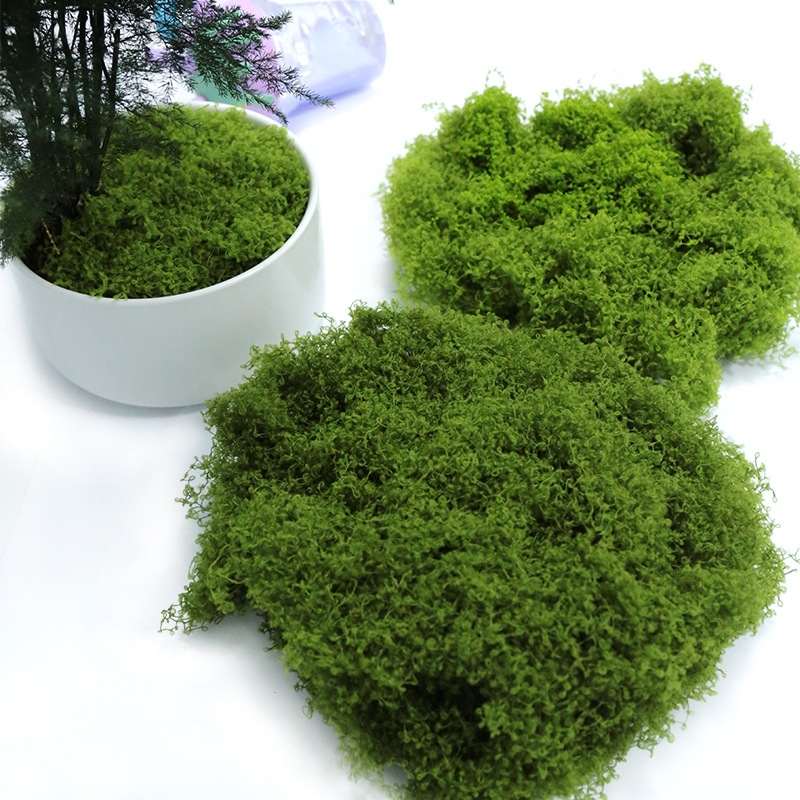 Muschio Artificiale 50g per Fa - Sphagnum Moss Dry recensione e prezzo